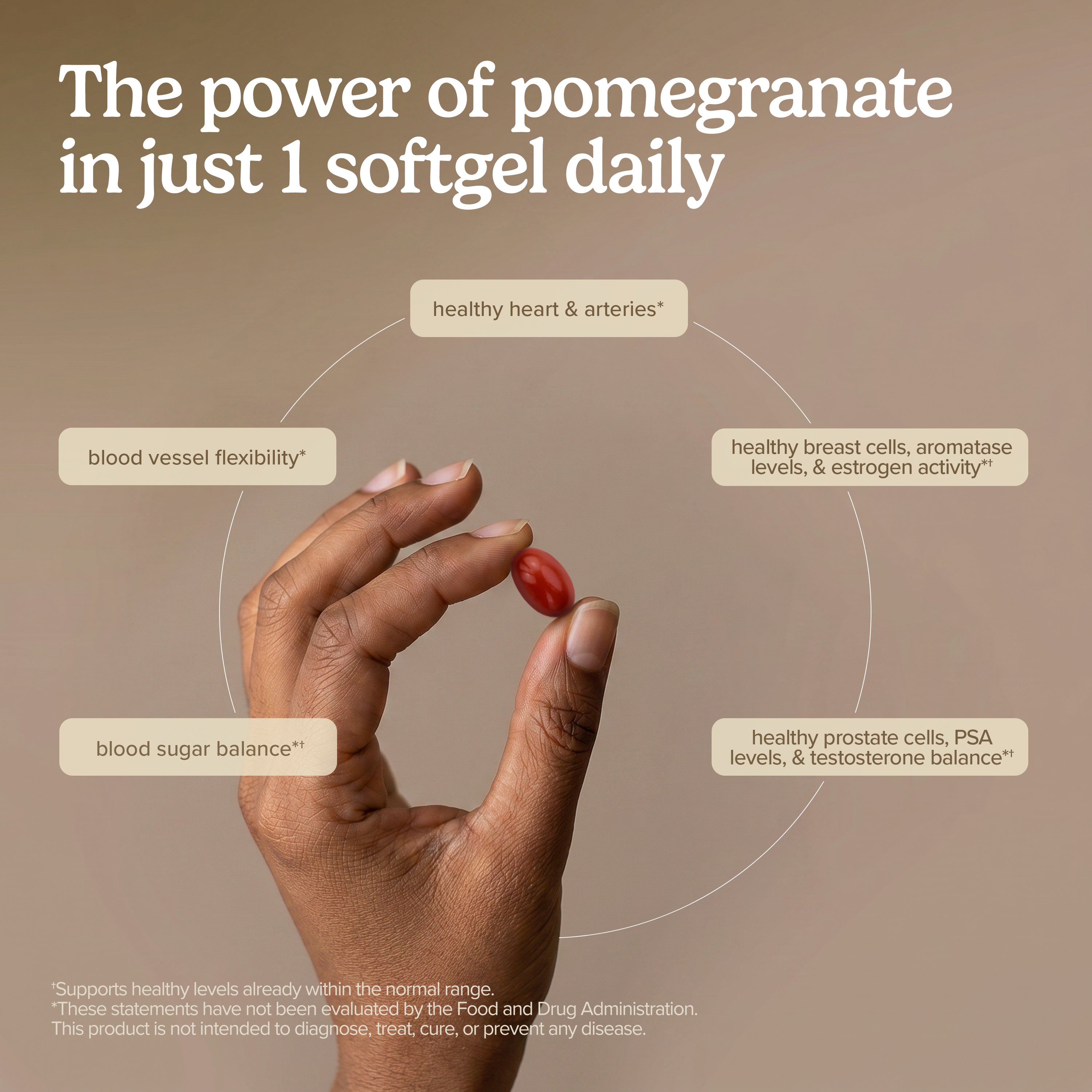 Pomegranate oil supplement infographic showing hand holding pomegranate seeds with callouts