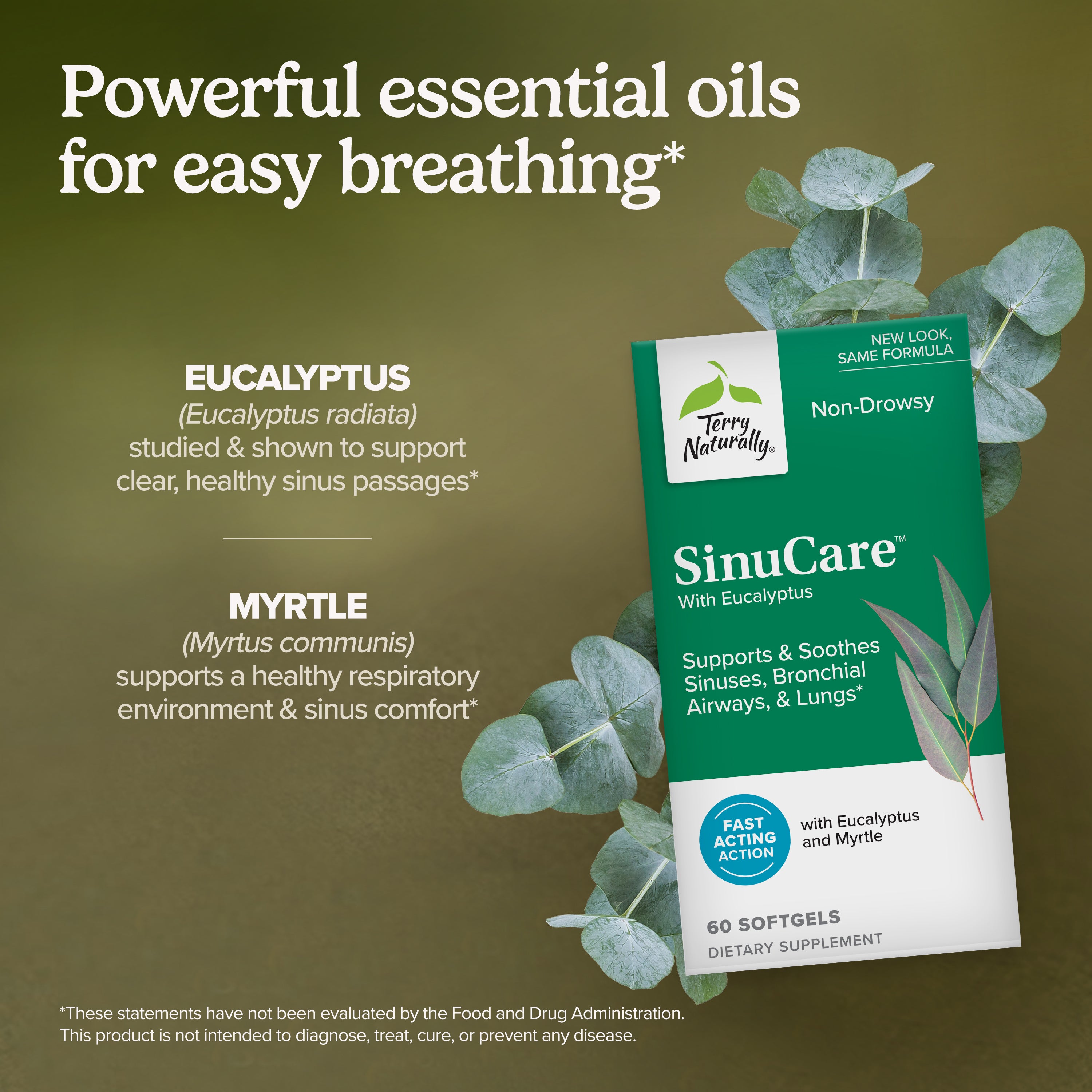 Non-drowsy softgels bottle with eucalyptus and myrtle leaf illustrations