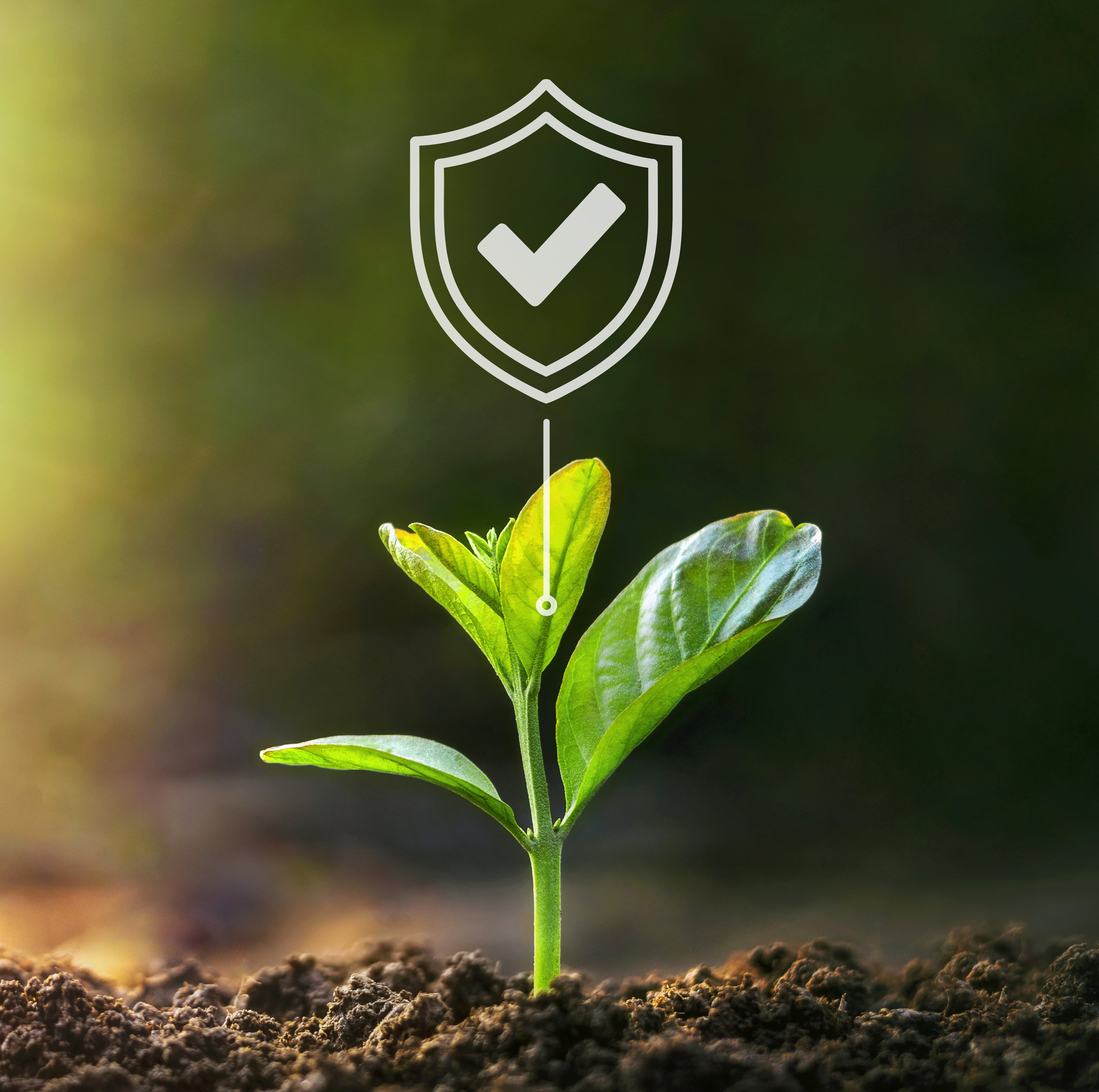 Targeted solutions for real health goals