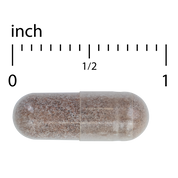 Clinical OPC® Heart
