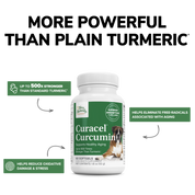 Curacel® Curcumin