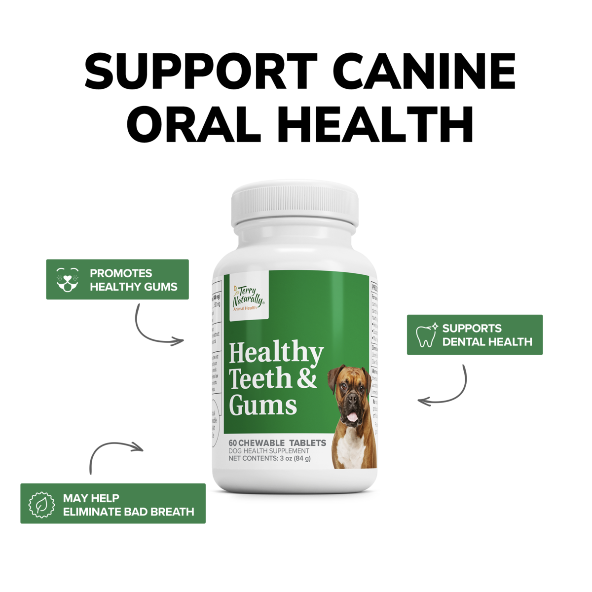 Healthy Teeth & Gums