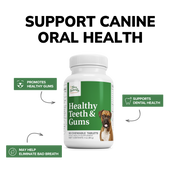 Healthy Teeth & Gums
