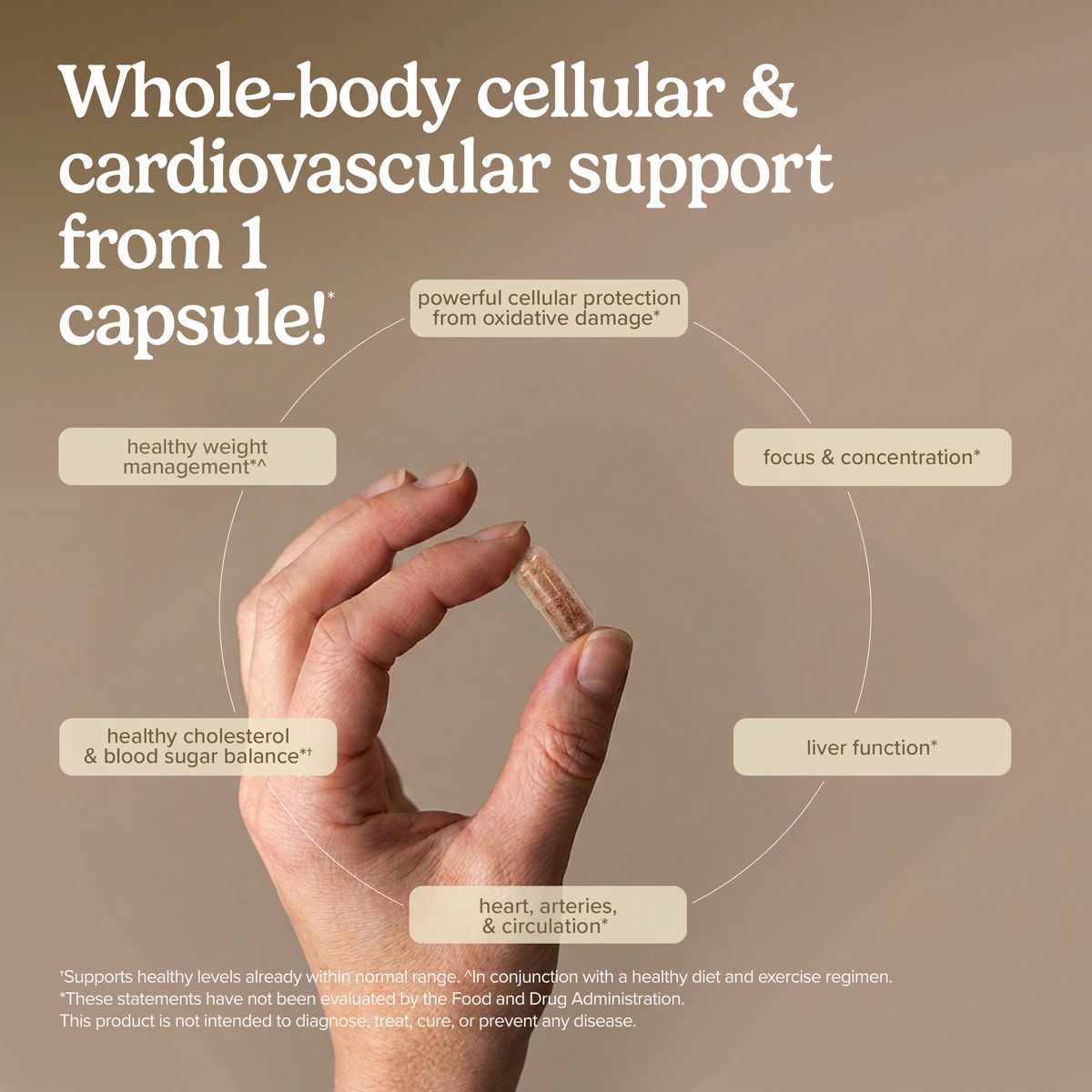 Clinical OPC® 150 mg