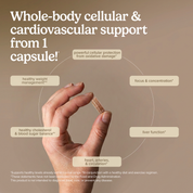 Clinical OPC® 150 mg
