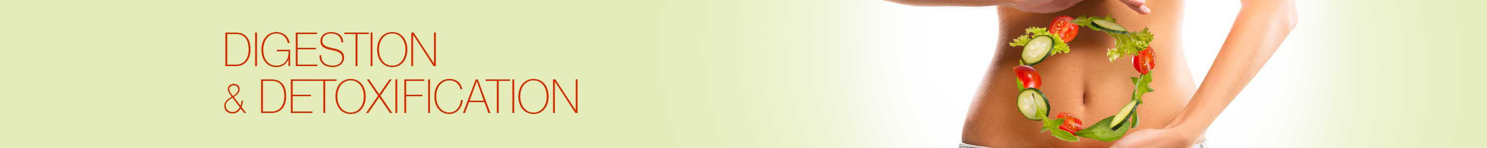 Digestion & Detoxification