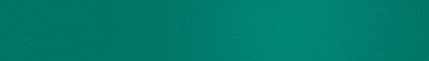 BRONCHIAL CLEAR PRODUCT FAMILY