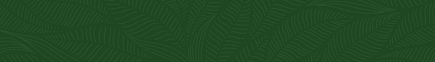 PROPOLIS EP300 PRODUCT FAMILY