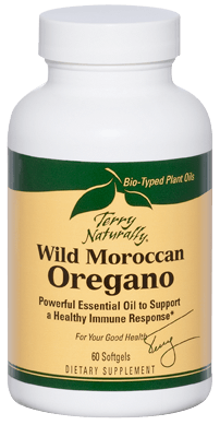 Wild Moroccan Oregano