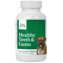 Healthy Teeth & Gums