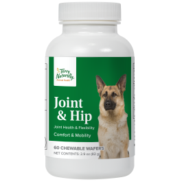 Joint Hip Terry Naturally Animal Health