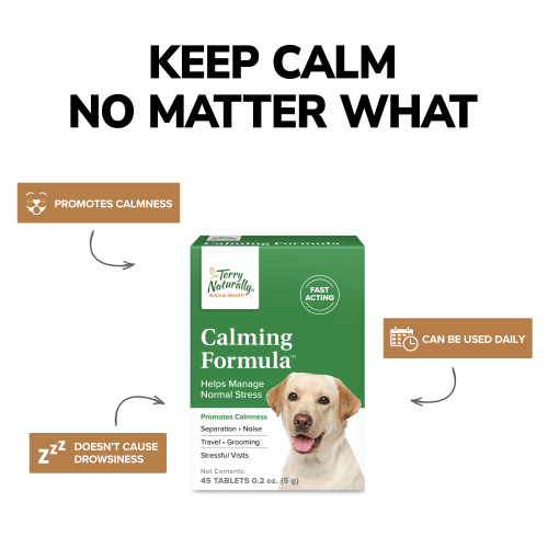 Ultra mega calming formula for dogs best sale
