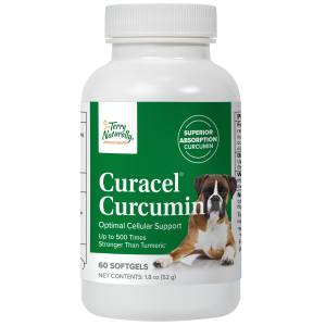 Curacel® Curcumin