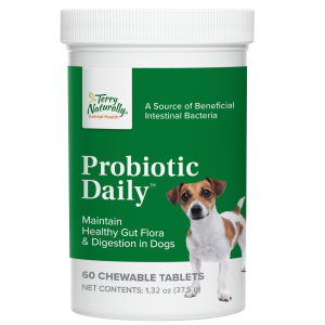 Chewable probiotics deals for dogs