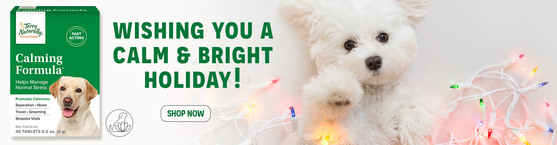 Wishing You a Calm & Bright Holiday! • SHOP NOW