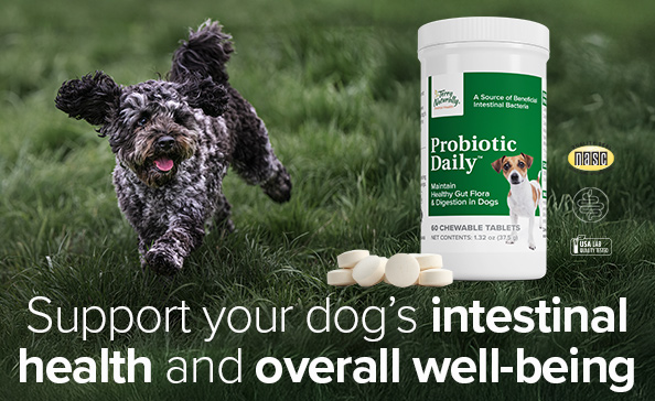 Support your dog's intestinal health and overal well-being