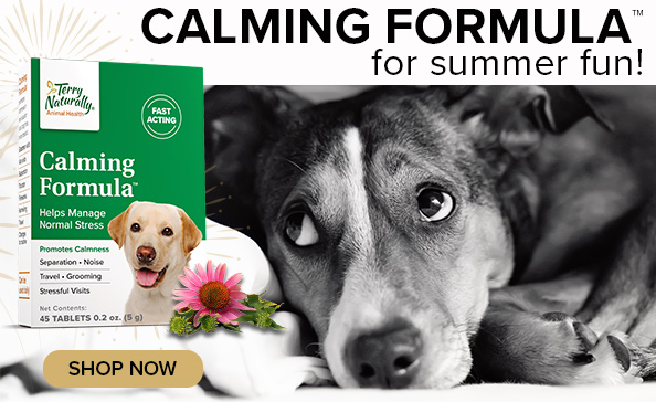 CALMING FORMULA™ for summer fun! • SHOP NOW