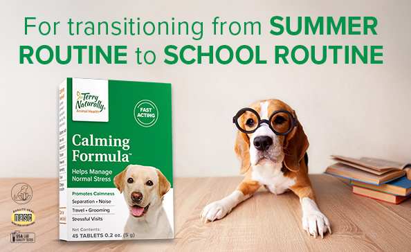 For transitioning from SUMMER ROUTINE to SCHOOL ROUTIN