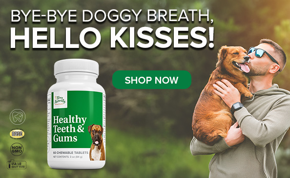 BYE-BYE DOGGY BREATH, HELLO KISSES! • Healthy Teeth & Gums