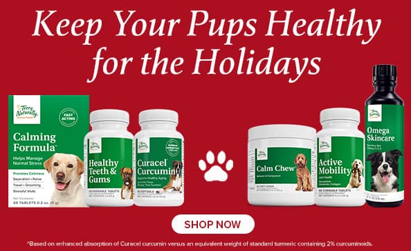 Keep Your Pups Healthy for the Holidays • SHOP NOW