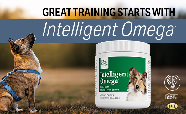 Great Training Starts with Intelligent Omega