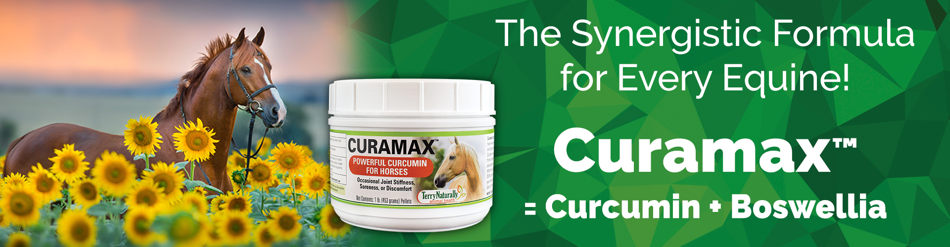 The Synergistic Formula for Every Equine! CURAMAX™ = Curcumin + Boswellia