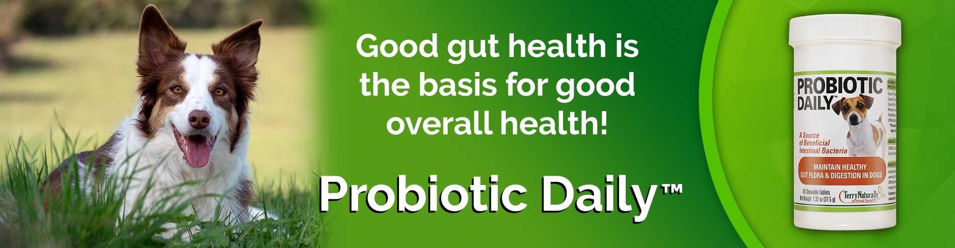 Good gut health is the basis for good overall health!