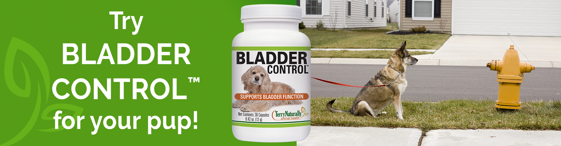 Try BLADER CONTROL™ for your pup!