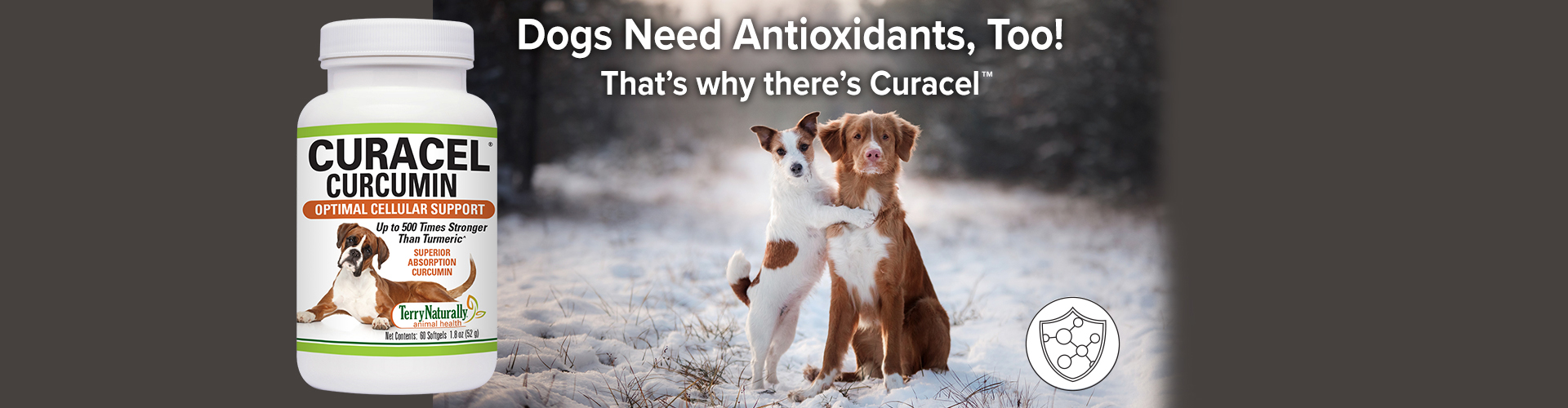 Dogs Need Antioxidants, too! That's why there's Curacel™
