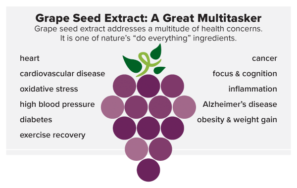 Grape Seed Extract: A Great Multitasker