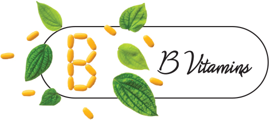 B Vitamins