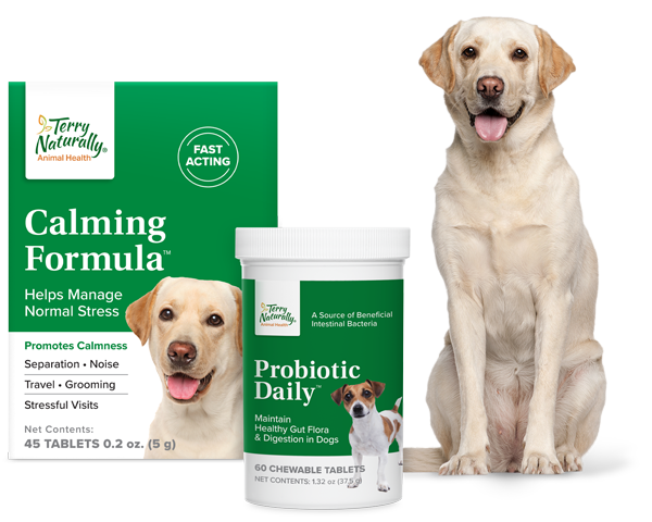 IMAGE: Calming Formula & Probiotic Daily