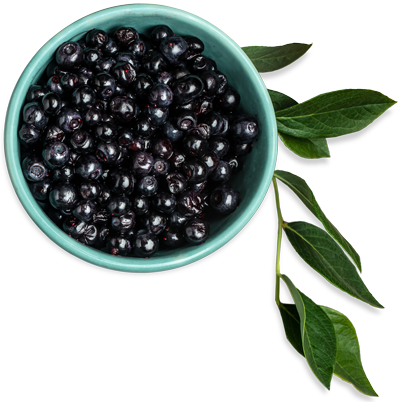Maqui Berries and Aronia Berries in bowl