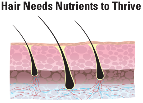 Hair Growth Graphic