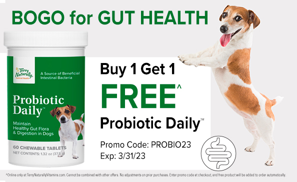 Buy 1 Get 1 FREE Probiotic Daily! • Promo Code: PROBIO23