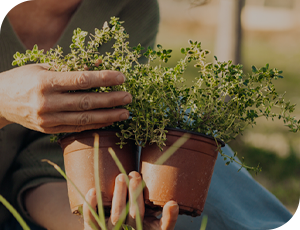 A person holds their shoulder