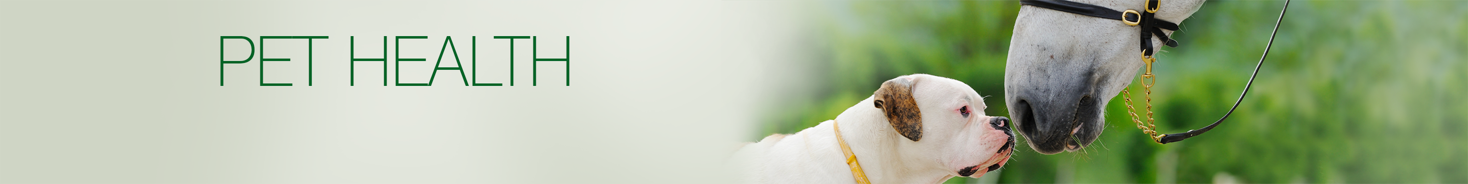 Pet Health Pet Health