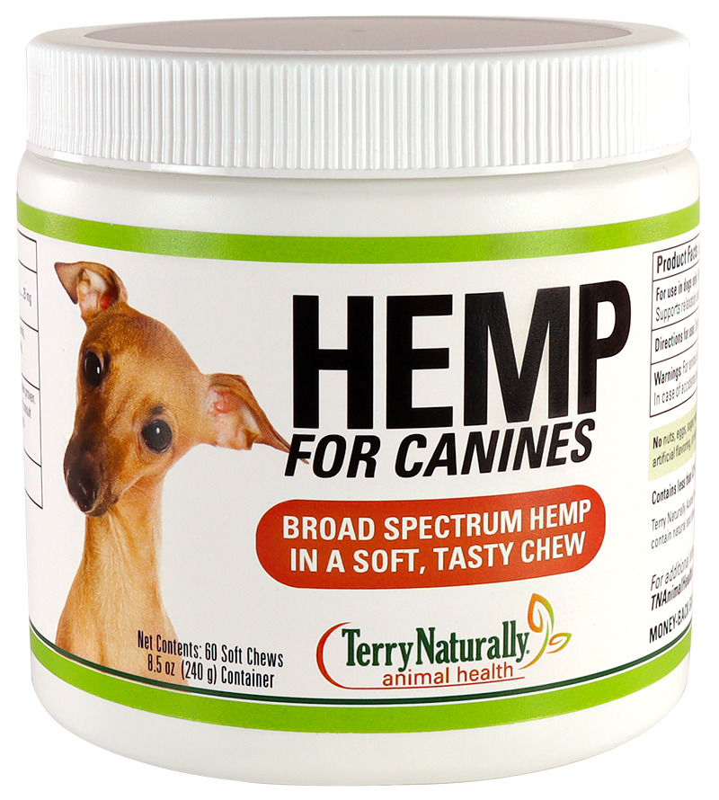 Hemp for Canines