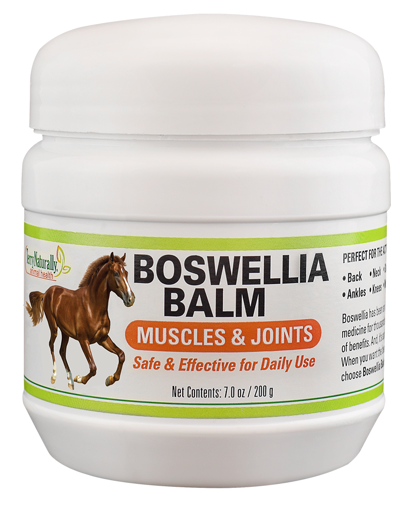 Boswellia Balm