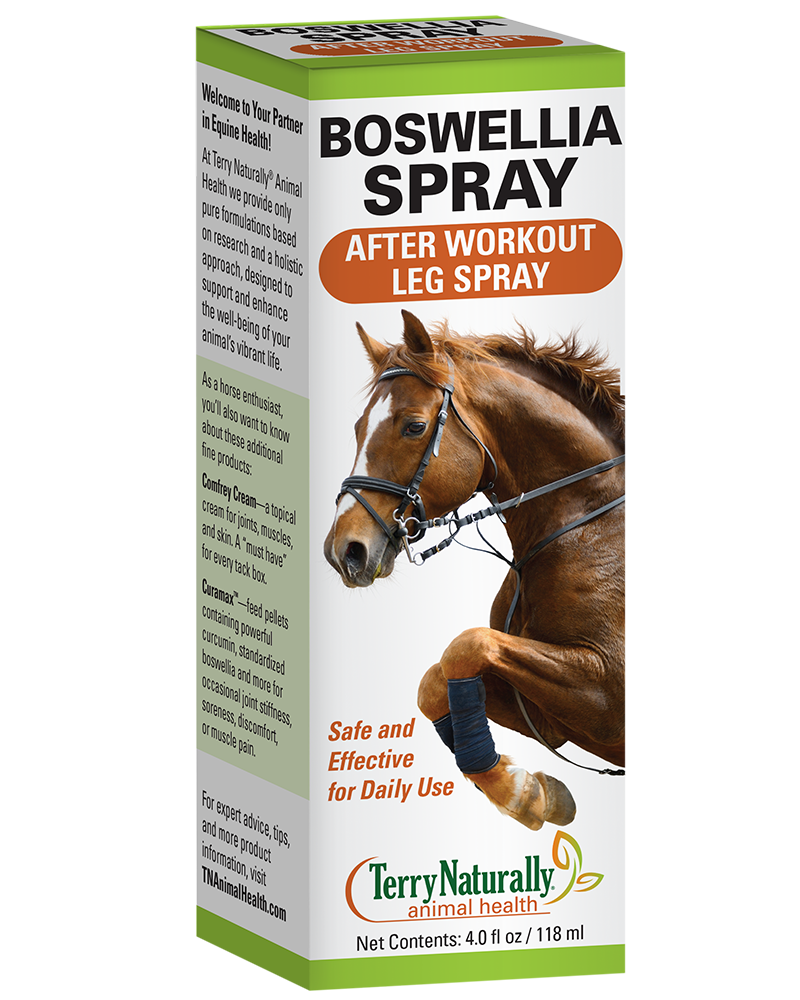 Boswellia Spray