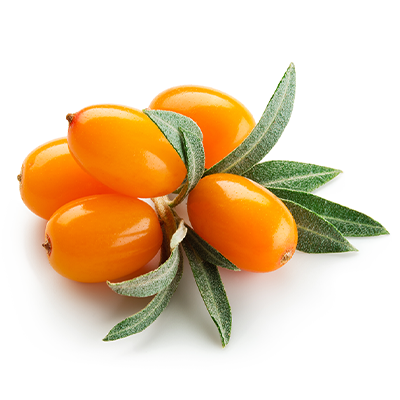 Omega-7 sea buckthorn berries