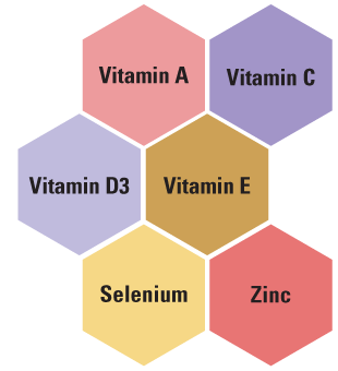 Immune Foundation Made Simple*